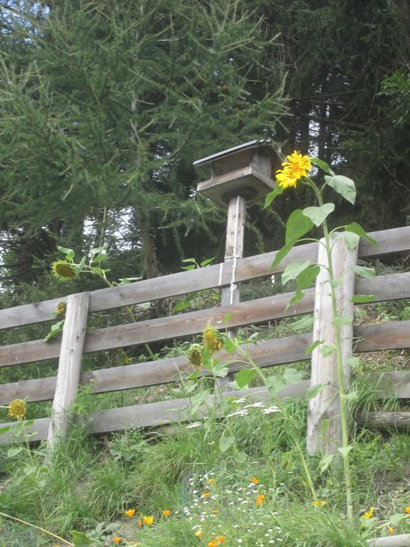 Fichtenheim *
